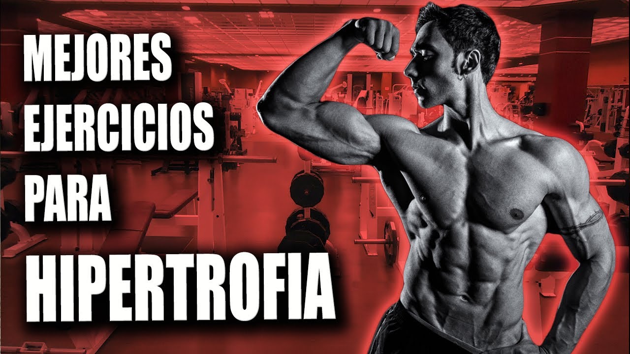 Los Mejores Ejercicios Para Hipertrofia Muscular Nh Performance