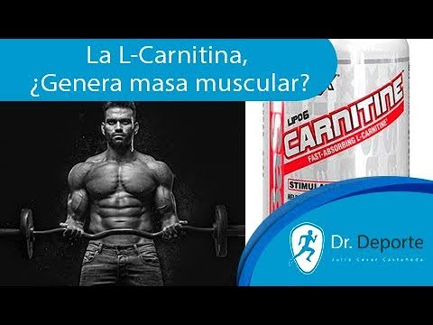 L carnitina aumenta masa muscular