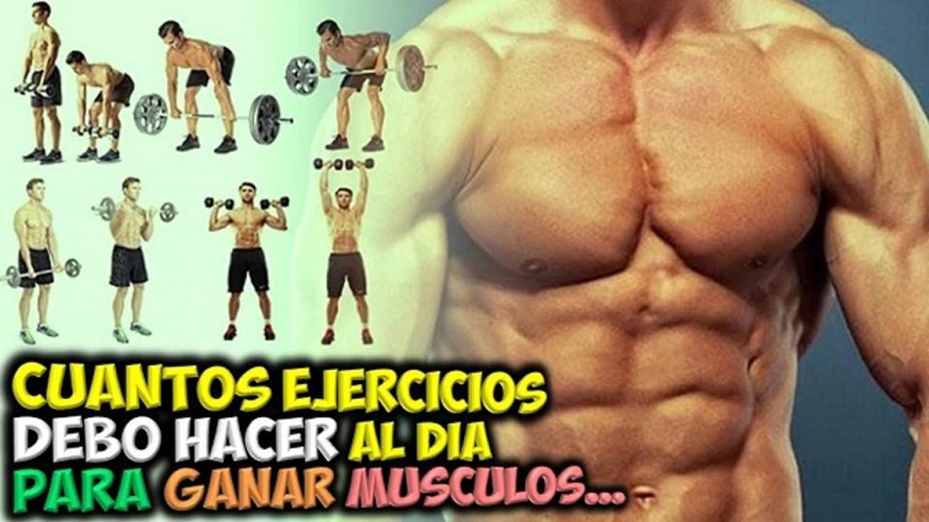 Cuántos ejercicios por músculo para definir