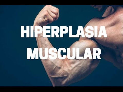 Hipertrofia muscular e hiperplasia