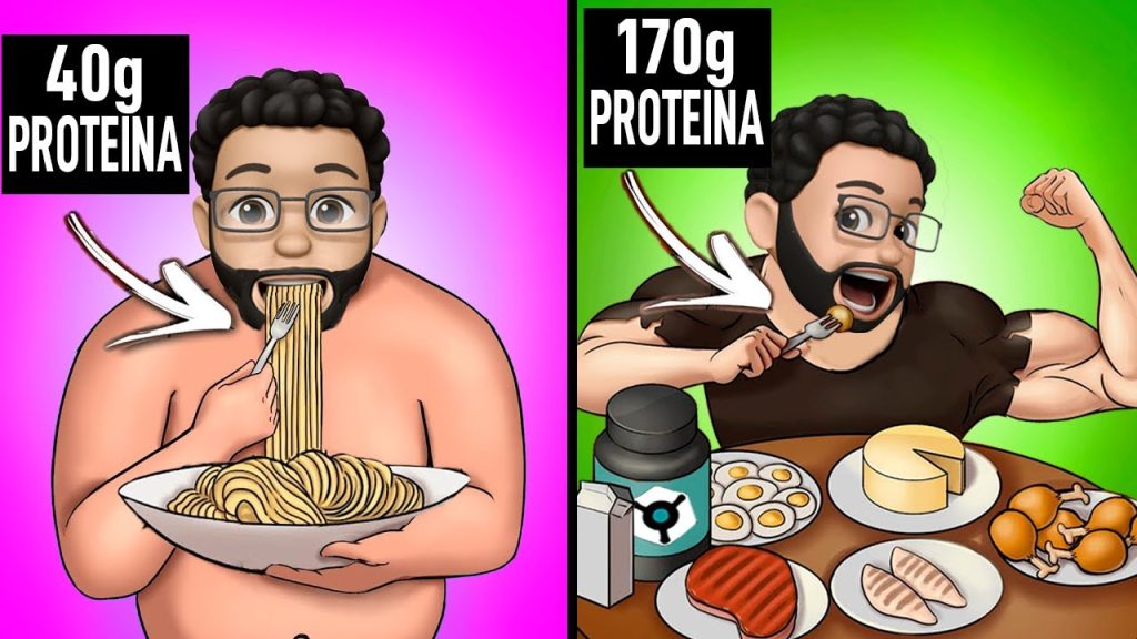 Cuántas proteínas se necesitan para aumentar masa muscular